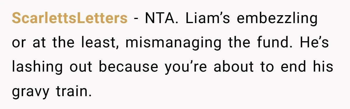 ScarlettsLetters − NTA. Liam’s embezzling or at the least, mismanaging the fund. He’s lashing out because you’re about to end his gravy train.