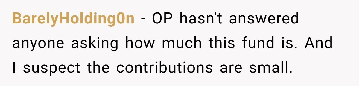 BarelyHolding0n − OP hasn't answered anyone asking how much this fund is. And I suspect the contributions are small.