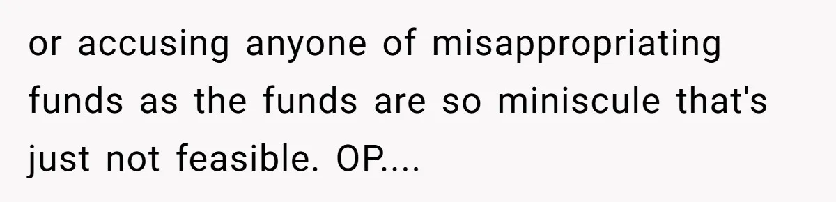 or accusing anyone of misappropriating funds as the funds are so miniscule that's just not feasible. OP....