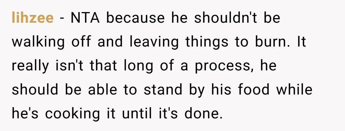lihzee − NTA because he shouldn't be walking off and leaving things to burn. It really isn't that long of a process, he should be able to stand by his...