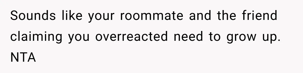Sounds like your roommate and the friend claiming you overreacted need to grow up. NTA