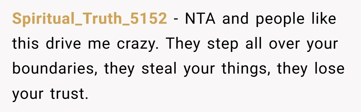 Spiritual_Truth_5152 − NTA and people like this drive me crazy. They step all over your boundaries, they steal your things, they lose your trust.