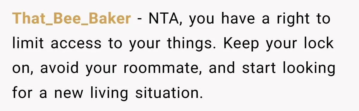 That_Bee_Baker − NTA, you have a right to limit access to your things. Keep your lock on, avoid your roommate, and start looking for a new living situation.