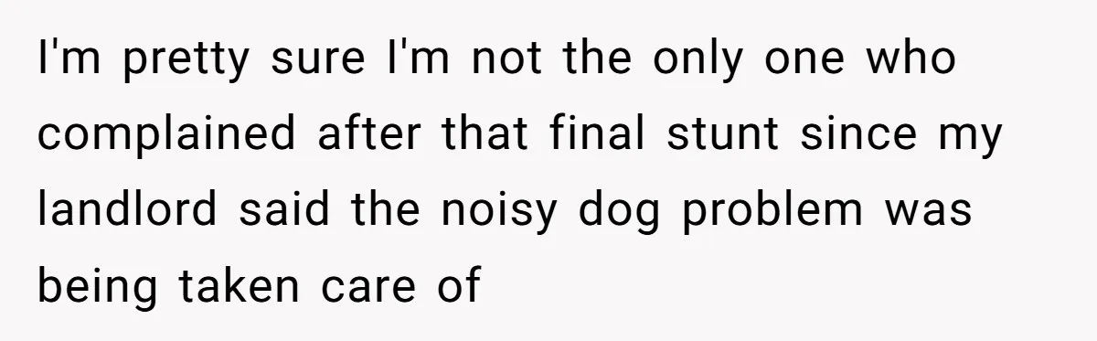 I'm pretty sure I'm not the only one who complained after that final stunt since my landlord said the noisy dog problem was being taken care of