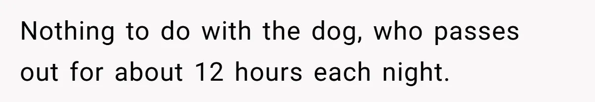 Nothing to do with the dog, who passes out for about 12 hours each night.
