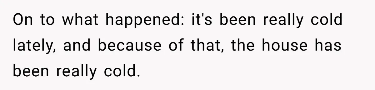 On to what happened: it's been really cold lately, and because of that, the house has been really cold.