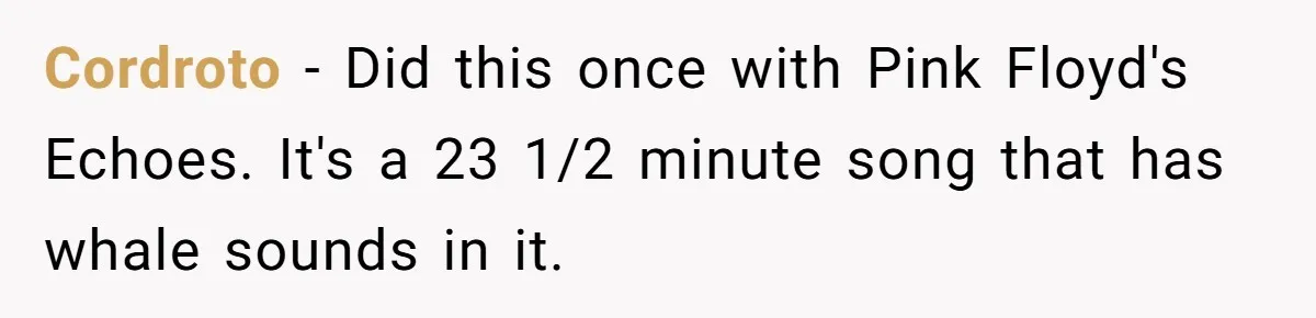 Bouncer, Fired For Protecting Customers, Tortures Boss With Endless Cotton Eye Joe Cordroto − Did this once with Pink Floyd's Echoes. It's a 23 1/2 minute song that has whale sounds in it.