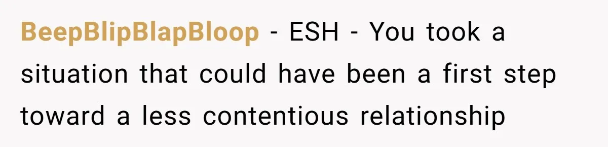 Bride Sparks Family Meltdown After Telling MIL She Won’t Attend Christmas Without Her “Offensive” Hat BeepBlipBlapBloop − ESH - You took a situation that could have been a first step toward a less contentious relationship