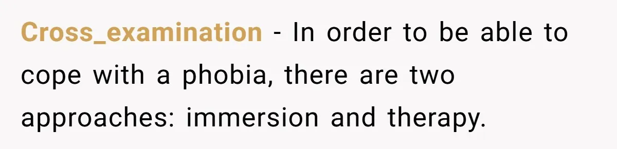 Cross_examination − In order to be able to cope with a phobia, there are two approaches: immersion and therapy.