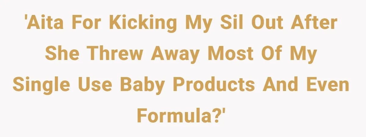 Mom Can’t Believe SIL Dumped $100s Of Baby Products To Push Her Agenda 'AITA for kicking my SiL out after she threw away most of my single use baby products and even formula?'