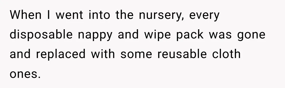 Mom Can’t Believe SIL Dumped $100s Of Baby Products To Push Her Agenda When I went into the nursery, every disposable nappy and wipe pack was gone and replaced with some reusable cloth ones.