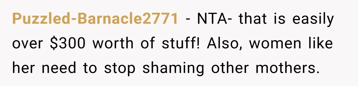 Mom Can’t Believe SIL Dumped $100s Of Baby Products To Push Her Agenda Puzzled-Barnacle2771 − NTA- that is easily over $300 worth of stuff! Also, women like her need to stop shaming other mothers.