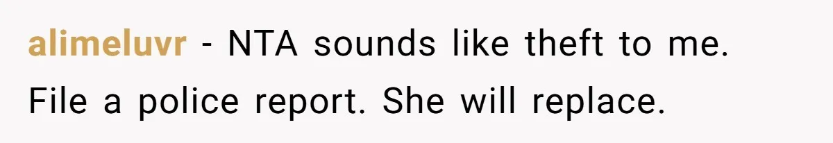 Mom Can’t Believe SIL Dumped $100s Of Baby Products To Push Her Agenda alimeluvr − NTA sounds like theft to me. File a police report. She will replace.