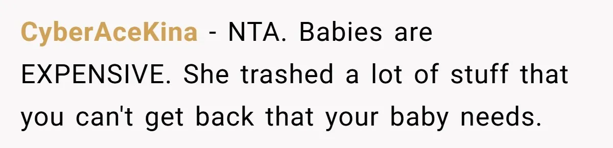 Mom Can’t Believe SIL Dumped $100s Of Baby Products To Push Her Agenda CyberAceKina − NTA. Babies are EXPENSIVE. She trashed a lot of stuff that you can't get back that your baby needs.