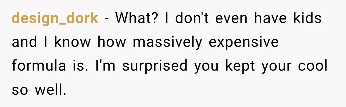 Mom Can’t Believe SIL Dumped $100s Of Baby Products To Push Her Agenda design_dork − What? I don't even have kids and I know how massively expensive formula is. I'm surprised you kept your cool so well.