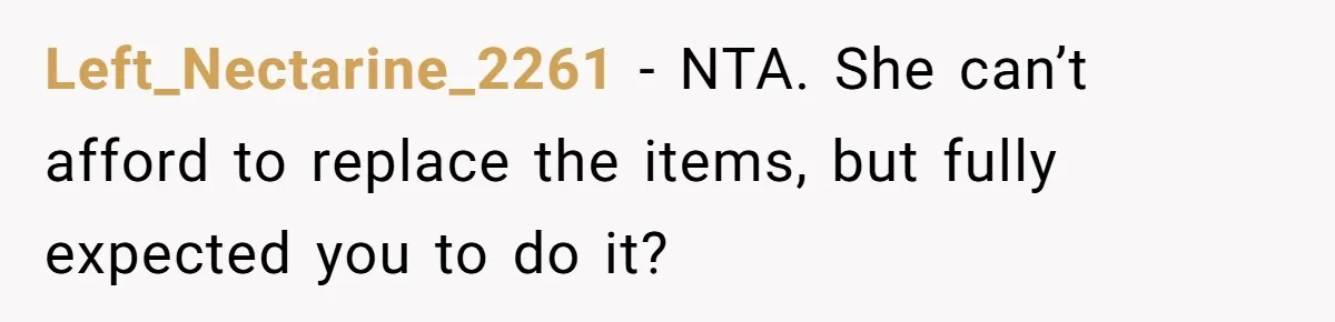 Mom Can’t Believe SIL Dumped $100s Of Baby Products To Push Her Agenda Left_Nectarine_2261 − NTA. She can’t afford to replace the items, but fully expected you to do it?
