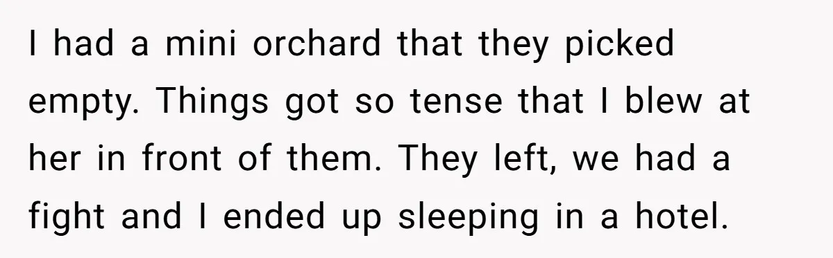 Husband Ends Five-Year Marriage Instantly After Finding Wife’s Brother Lounging On Their Couch I had a mini orchard that they picked empty. Things got so tense that I blew at her in front of them. They left, we had a fight and I...