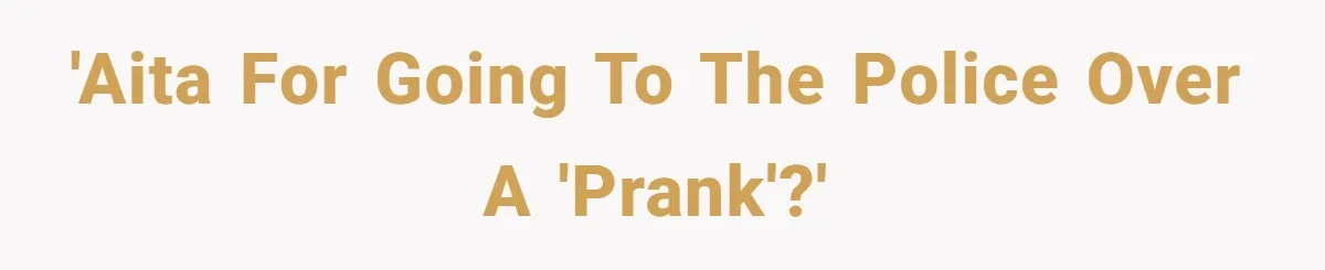 Vegan Woman Calls The Police On Friends For Feeding Her Chicken Nuggets As A ‘Prank’ 'AITA for going to the police over a 'prank'?'