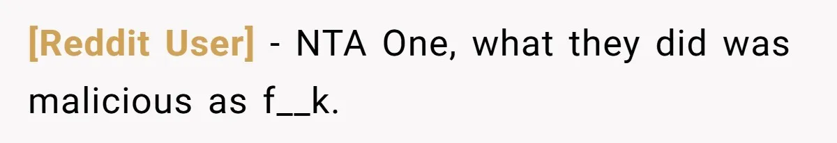 [Reddit User] − NTA One, what they did was malicious as f__k.