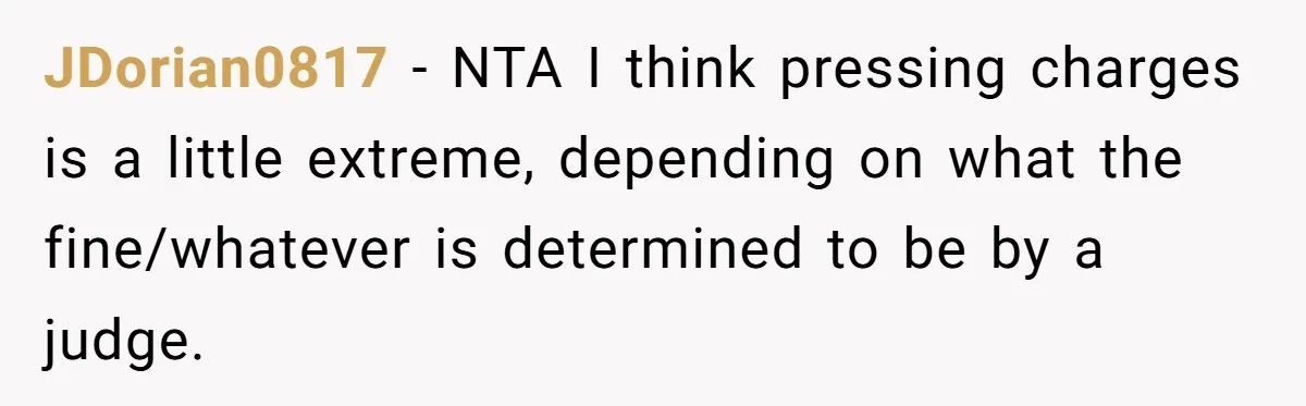 Vegan Woman Calls The Police On Friends For Feeding Her Chicken Nuggets As A ‘Prank’ JDorian0817 − NTA I think pressing charges is a little extreme, depending on what the fine/whatever is determined to be by a judge.
