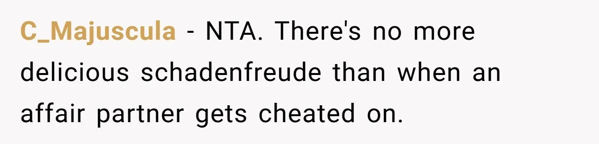 Teen Laughs In His Dad’s Wife’s Face When She Asks For Support After Finding Out He’s Been Cheating C_Majuscula − NTA. There's no more delicious schadenfreude than when an affair partner gets cheated on.