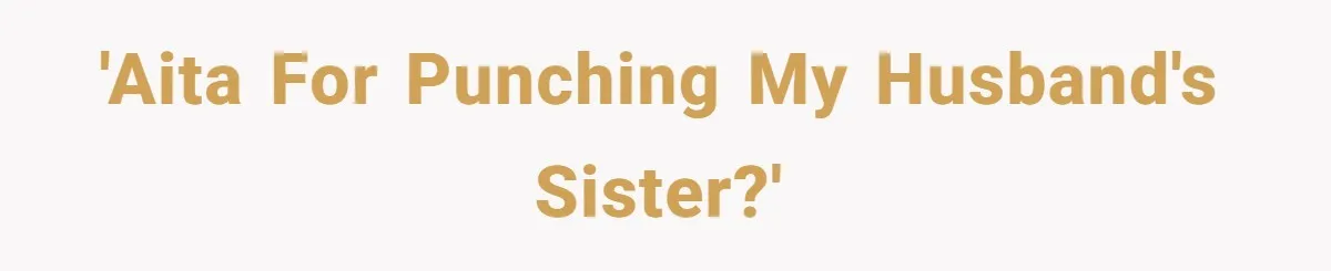 'AITA for punching my husband's sister?'