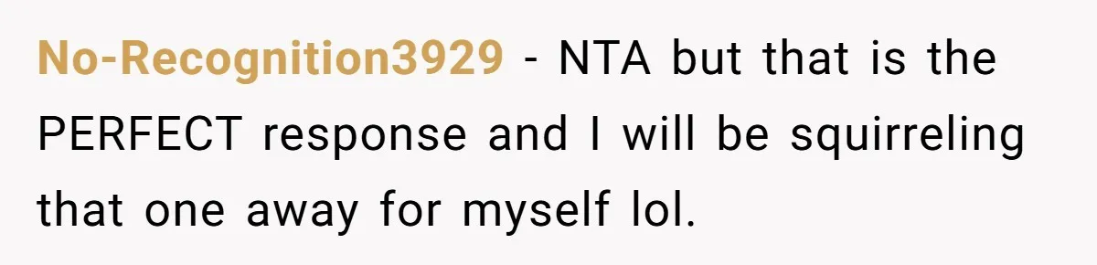 Sister’s Boyfriend Makes Backhanded Comment About Her Infertility, Her Response Makes Everyone Burst Into Laughter No-Recognition3929 − NTA but that is the PERFECT response and I will be squirreling that one away for myself lol.