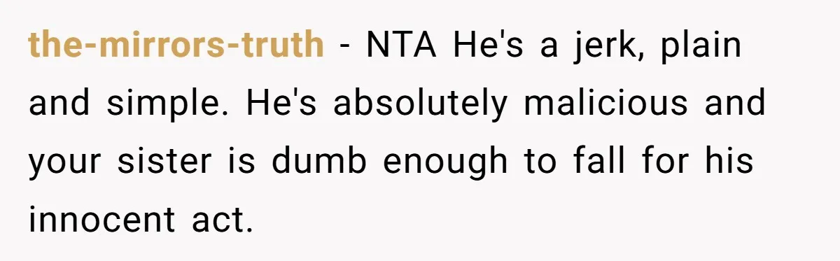 Sister’s Boyfriend Makes Backhanded Comment About Her Infertility, Her Response Makes Everyone Burst Into Laughter the-mirrors-truth − NTA He's a jerk, plain and simple. He's absolutely malicious and your sister is dumb enough to fall for his innocent act.