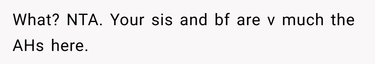 Sister’s Boyfriend Makes Backhanded Comment About Her Infertility, Her Response Makes Everyone Burst Into Laughter What? NTA. Your sis and bf are v much the AHs here.