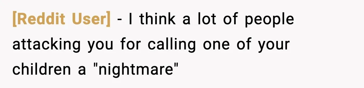 [Reddit User] − I think a lot of people attacking you for calling one of your children a "nightmare"