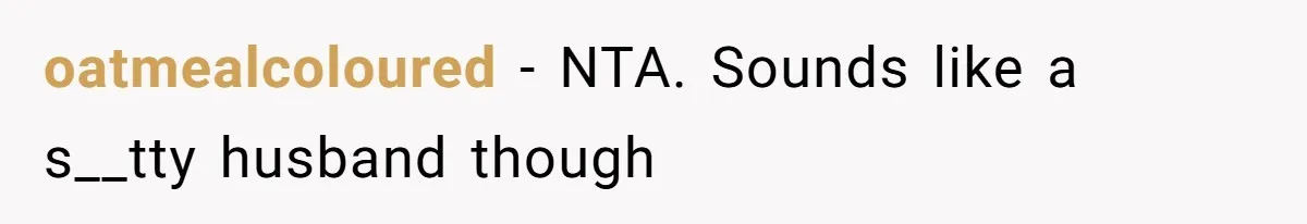 Burned-Out ICU Nurse Finally Snaps After Husband Blows Off Their First Free Saturday In 18 Months oatmealcoloured − NTA. Sounds like a s__tty husband though