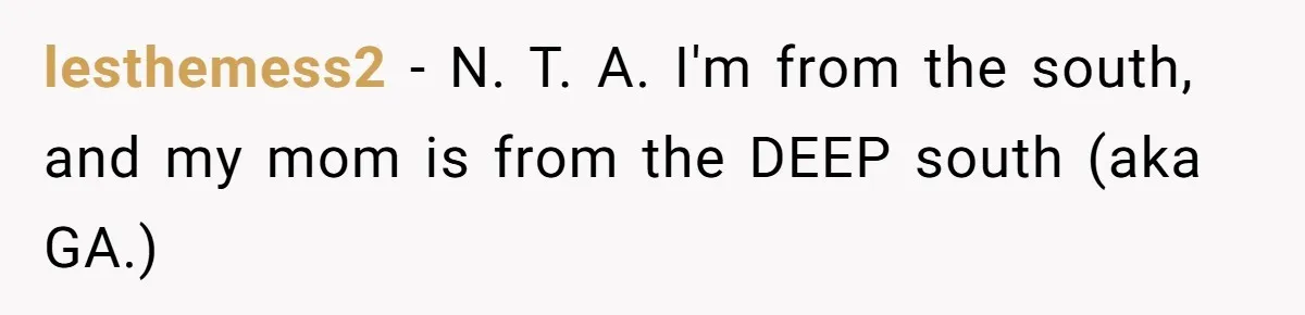 Wife Left Doing Every Chore Alone Snaps And Brands Husband’s “Southern Culture” Garbage lesthemess2 − N. T. A. I'm from the south, and my mom is from the DEEP south (aka GA.)