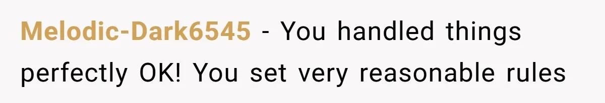 Dad Kicks Daughter’s Friends Out Of House After Infringing On Son’s Space Melodic-Dark6545 − You handled things perfectly OK! You set very reasonable rules