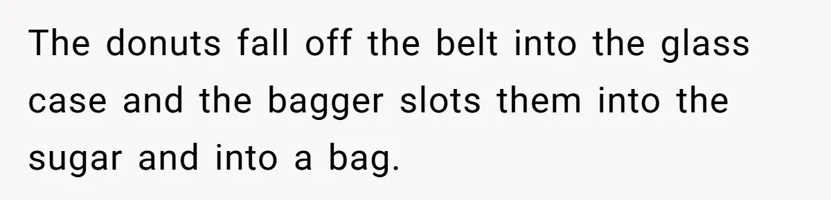 Karen Insists On Donuts Straight From Boiling Oil, Carnival Worker Hands Her What She Wishes For - Raw The donuts fall off the belt into the glass case and the bagger slots them into the sugar and into a bag.