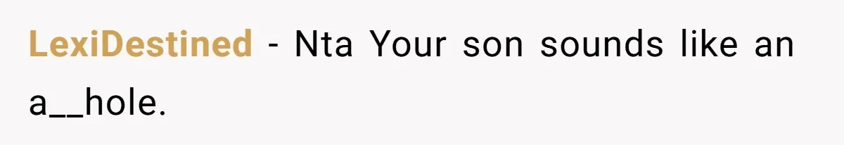 Woman Confronts Her Son For Choosing Beer Over His Exhausted Wife And He Says She Ruined Everything LexiDestined − Nta Your son sounds like an a__hole.