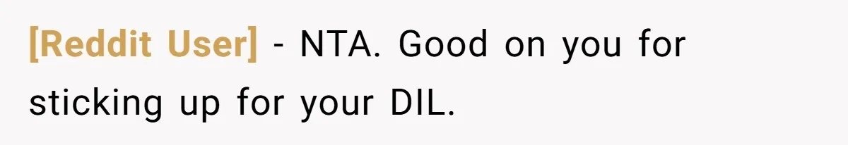 [Reddit User] − NTA. Good on you for sticking up for your DIL.