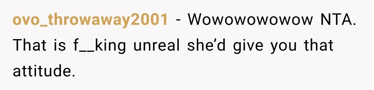 Sister Tries To Charge Brother For Dog Walking And Scrapbook Work, So He Kicked Her Out ovo_throwaway2001 − Wowowowowow NTA. That is f__king unreal she’d give you that attitude.