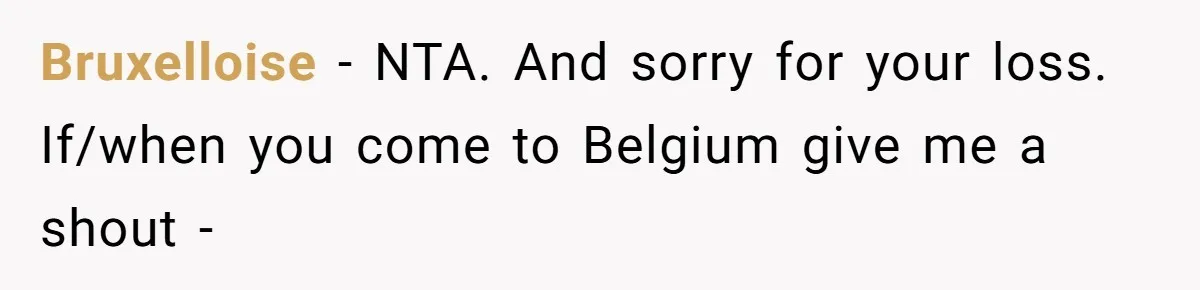 Grieving Father Uses Late Son’s College Fund For Beer Trip After Ex-Wife Demands Cash For Stepson Bruxelloise − NTA. And sorry for your loss. If/when you come to Belgium give me a shout -