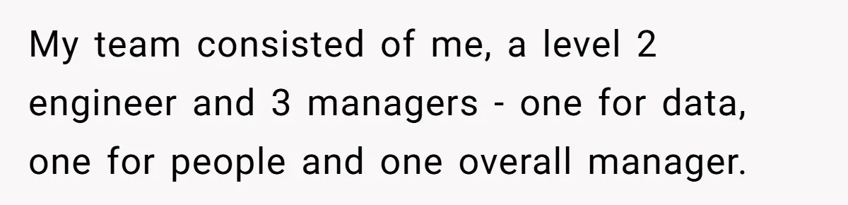 Entry-Level Tech Walks Miles In Rain Until Managers Secretly Share Parking Spots And Coworkers Call HR My team consisted of me, a level 2 engineer and 3 managers - one for data, one for people and one overall manager.