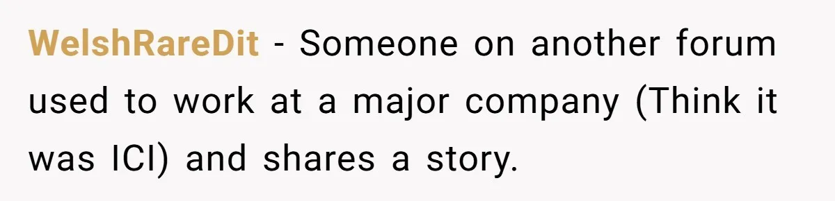 Entry-Level Tech Walks Miles In Rain Until Managers Secretly Share Parking Spots And Coworkers Call HR WelshRareDit − Someone on another forum used to work at a major company (Think it was ICI) and shares a story.