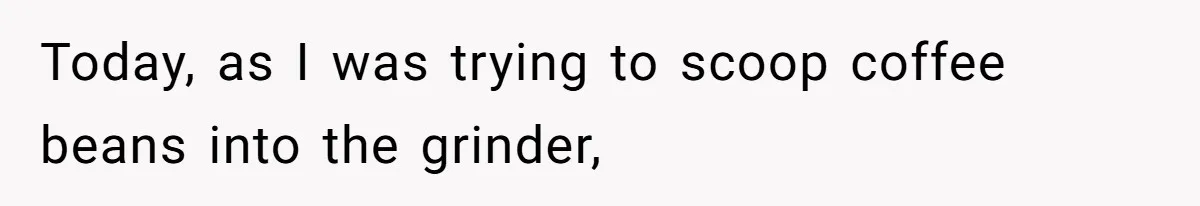 Fiancé Won't Let Her Make Coffee Without Following His Rules, How She Finally Got Fed Up Today, as I was trying to scoop coffee beans into the grinder,