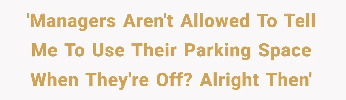 Entry-Level Tech Walks Miles In Rain Until Managers Secretly Share Parking Spots And Coworkers Call HR 'Managers aren't allowed to tell me to use their parking space when they're off? Alright then'