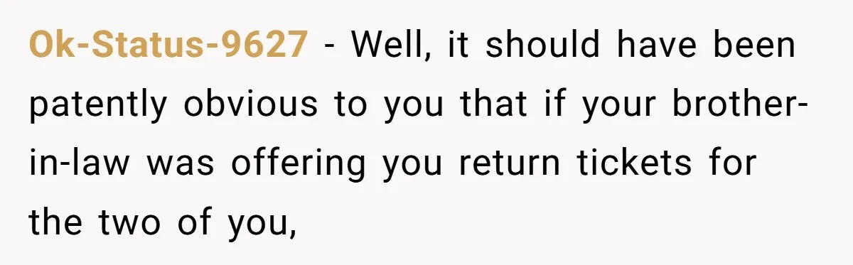 Wedding Gift From Brother-In-Law Declined After Years, Is The Husband Wrong For Expecting It? Ok-Status-9627 − Well, it should have been patently obvious to you that if your brother-in-law was offering you return tickets for the two of you,