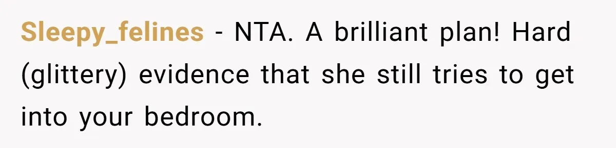 MIL Tried To Snoop In DIL's Bedroom, So DIL Used Glitter To Catch Her Trying To Snoop Sleepy_felines − NTA. A brilliant plan! Hard (glittery) evidence that she still tries to get into your bedroom.
