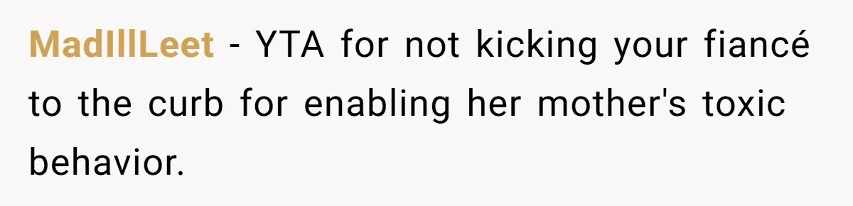He Banned His Future MIL After She Stole His Son’s Journal, and Now the Entire Family Wants the Wedding Cancelled MadIllLeet − YTA for not kicking your fiancé to the curb for enabling her mother's toxic behavior.