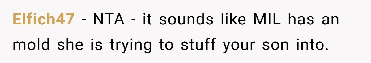 He Banned His Future MIL After She Stole His Son’s Journal, and Now the Entire Family Wants the Wedding Cancelled Elfich47 − NTA - it sounds like MIL has an mold she is trying to stuff your son into.