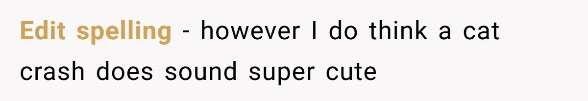 She Started the Wedding Without Her Parents - Now They’re Furious They Missed the Ceremony Edit spelling - however I do think a cat crash does sound super cute