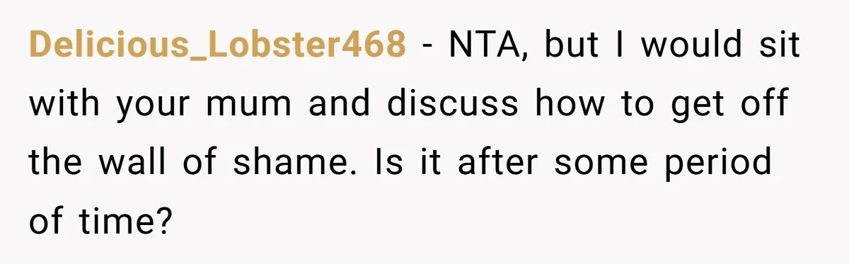 He Built a Pun Filled Garden "Wall of Shame" and Now the Whole Neighborhood Is Mad Delicious_Lobster468 − NTA, but I would sit with your mum and discuss how to get off the wall of shame. Is it after some period of time?