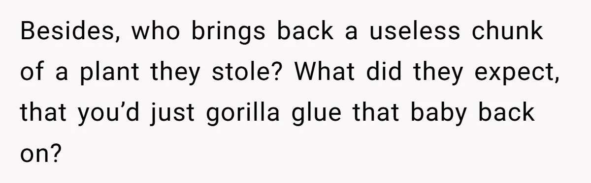 He Built a Pun Filled Garden "Wall of Shame" and Now the Whole Neighborhood Is Mad Besides, who brings back a useless chunk of a plant they stole? What did they expect, that you’d just gorilla glue that baby back on?