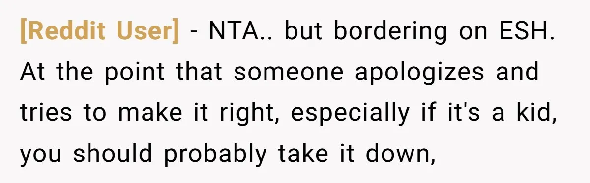 [Reddit User] − NTA.. but bordering on ESH. At the point that someone apologizes and tries to make it right, especially if it's a kid, you should probably take it...